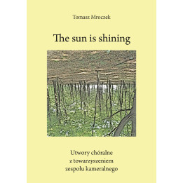 The sun is shining – Tomasz Mroczek